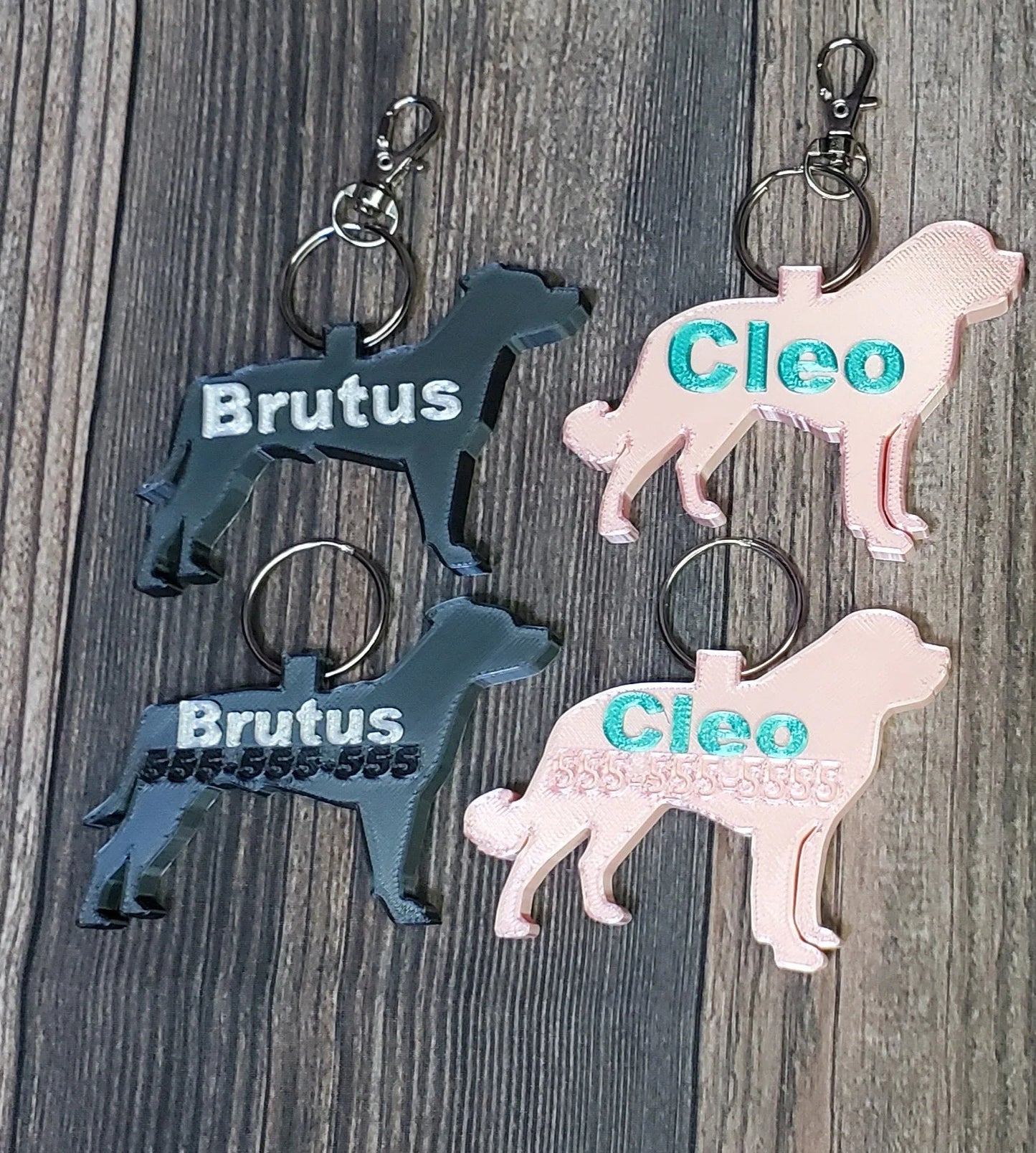 My Buddy and Me Keychain and ID Tag